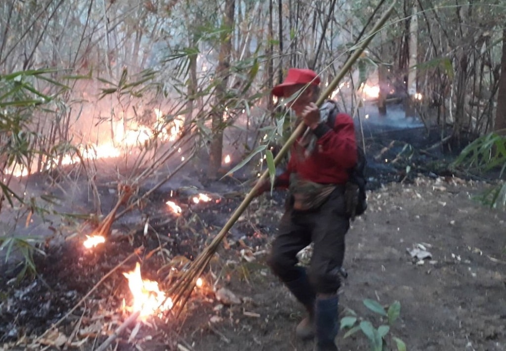 Firefighter Struggle to Contain Wildfires in Northern Thailand