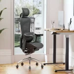 Say Goodbye to Back Pain with the Sihoo C300 Dynamic Lumbar Support Chair