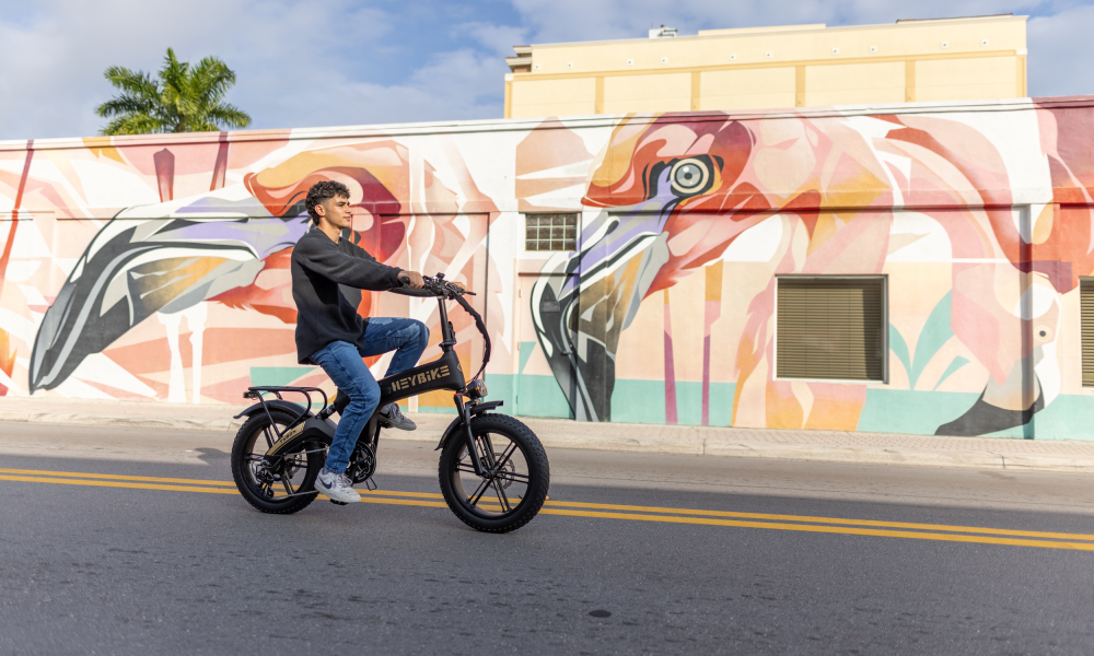 best folding electric bike 2018