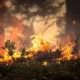 2023 Canadian Wildfires Impacted Air Quality as far Away as Europe and China