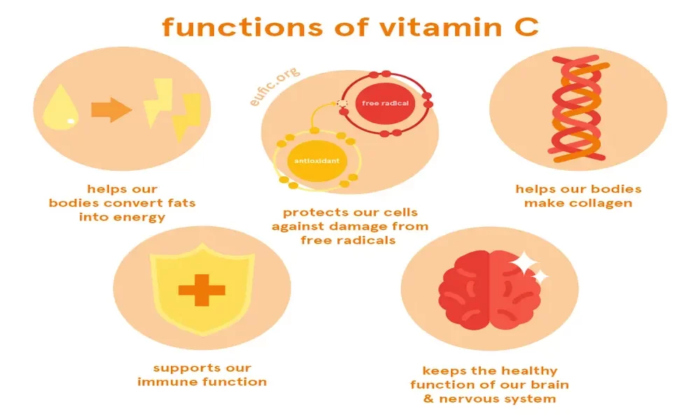 what-does-vitamin-c-do-for-us-ctn-news