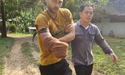 Swiss Man Cuts Off His Own Hand to Escape Bear Attack in Northern Thailand