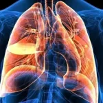 Air Pollution Boosts Heart and Lung Hospitalizations Study Reveals