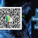 Snapseed QR Code Photo Editing App: What is it?