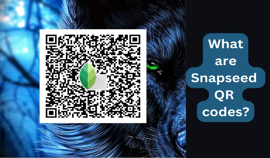 Snapseed QR Code Photo Editing App: What is it?