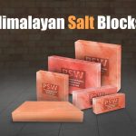 Advantages of Salt Blocks and the Best Animal Salt Licks