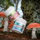 7 Things to know Before Buying Amanita Gummies Online