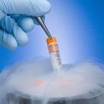Embryo Freezing and Infertility Treatment