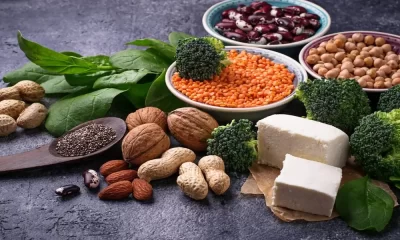 Plant-Based Protein Supplements: Benefits for Health and Sustainability