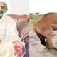 Police Arrest Five for Brutal Camel Abuse in Sanghar District Shocking Video Sparks Outrage