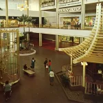 The Evolution of Shopping Malls and Plazas: Past, Present, and Future
