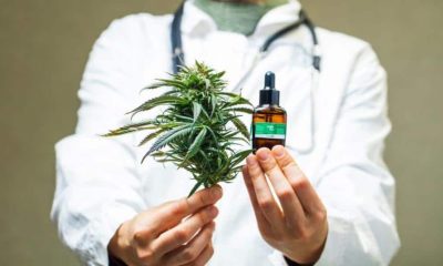 The Smart Guide to Buying CBD Oil and Capsules: What You Need to Know