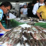 Thailand's Civil Society Demands Accountability for Blackchin Tilapia Invasion and Environmental Damage