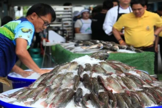 Thailand's Civil Society Demands Accountability for Blackchin Tilapia Invasion and Environmental Damage