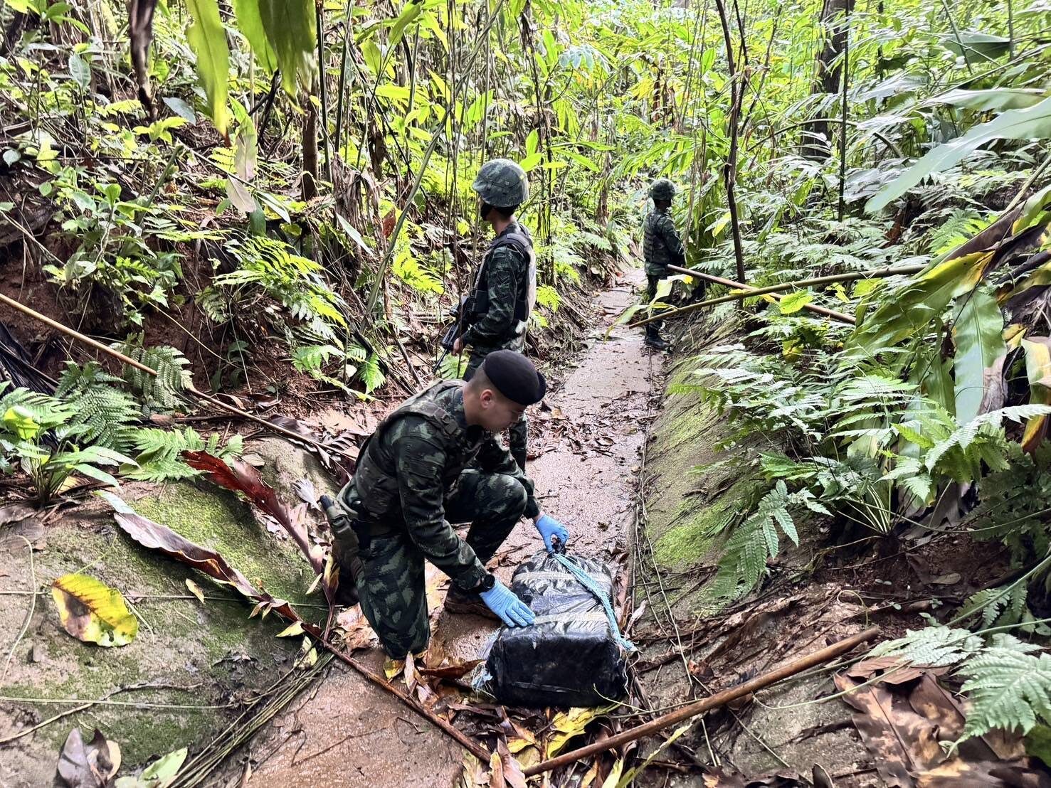 Pha Muang Task Force