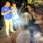 Chiang Rai Man Murders and Dismembers Wife