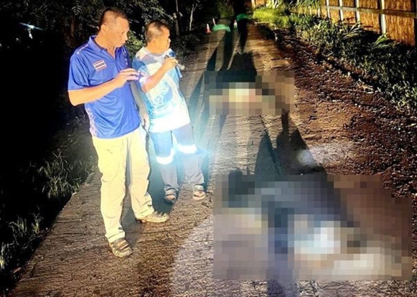 Chiang Rai Man Murders and Dismembers Wife