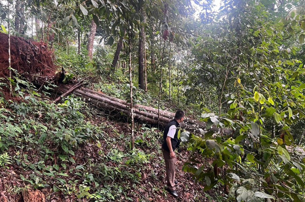 One Tourist Killed Another Injured at Chiang Mai Zipline Attraction