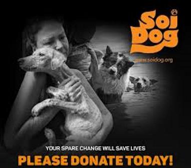 https://www.soidog.org/content/make-donation