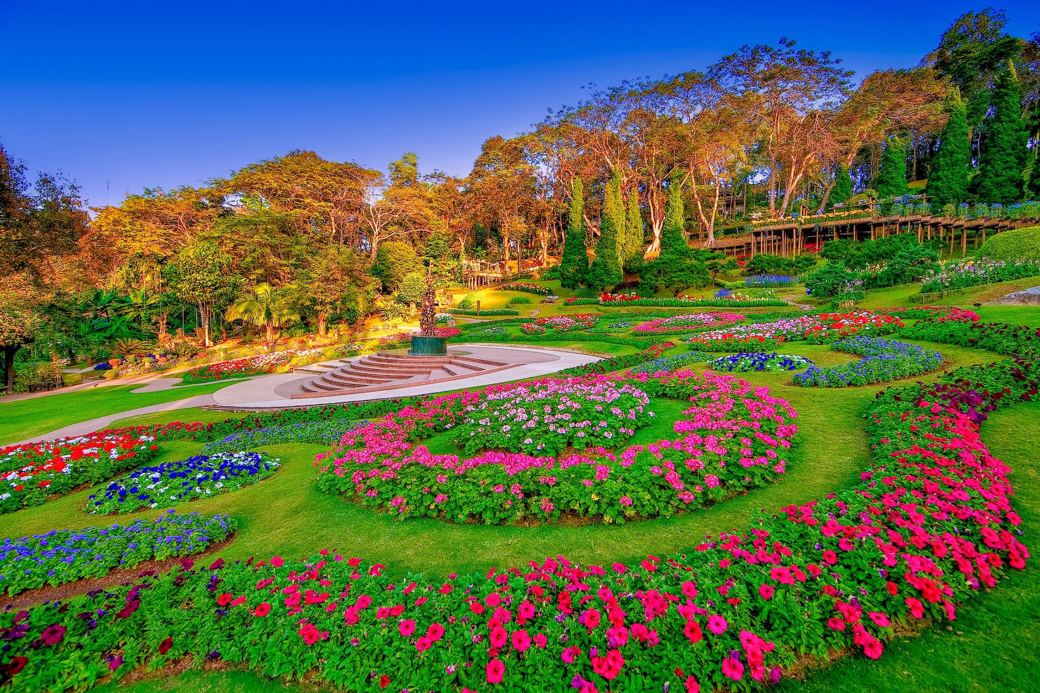 Doi Tung Colorful Festival 2024