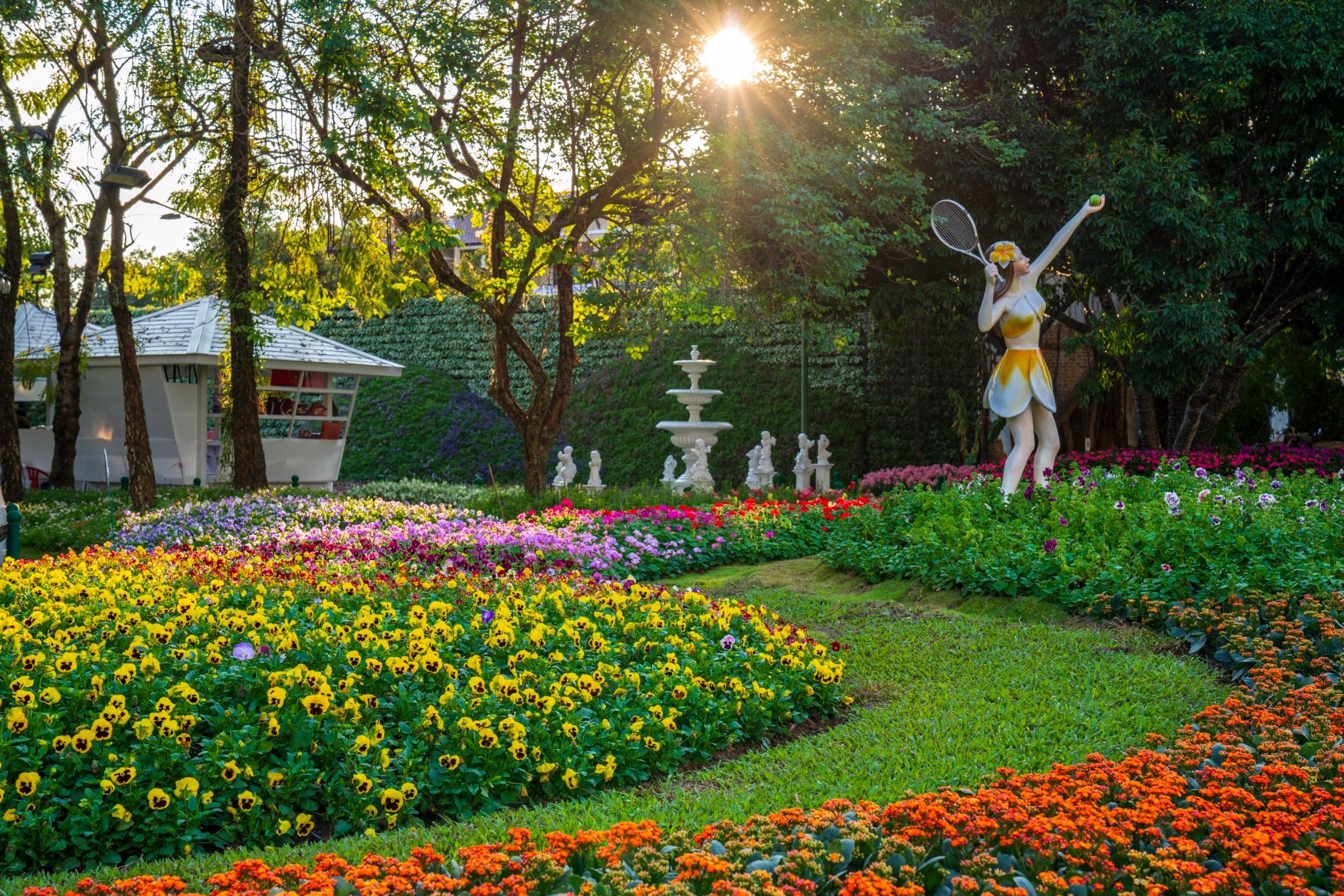 Chiang Rai Beautiful Flowers