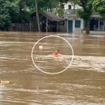 Chinese man swims in the Ping River, Chiang Mai