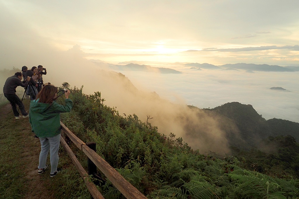 Phu Chi Dao,winter chiang rai