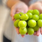 Shine Muscat grapes