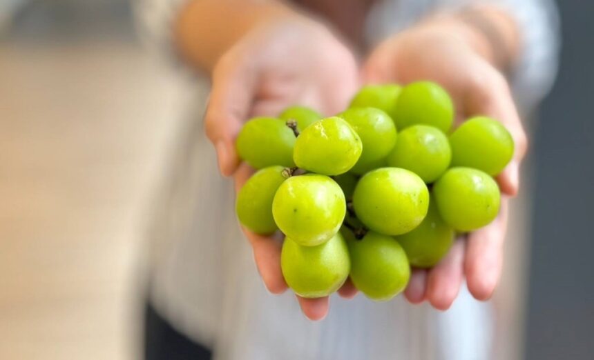 Shine Muscat grapes