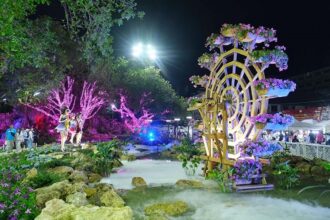 Chiang Rai Flower Festival 21st Year