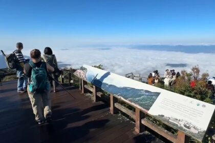 Doi Inthanon, Kiew Mae Pan nature trail, Chiang Mai