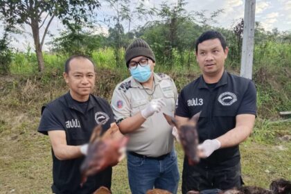 Chiang Rai, Poachers, Wildlife