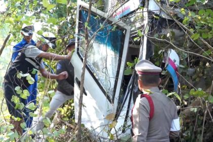 Passenger Bus Crash Kills Driver