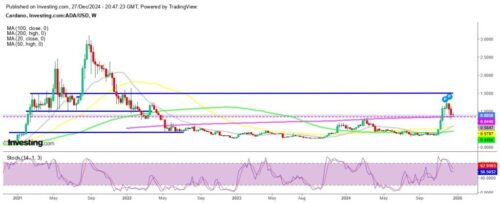 Cardano Price Prediction 2025