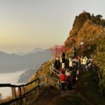 Chiang Rai Mountains Cherry Blossoms