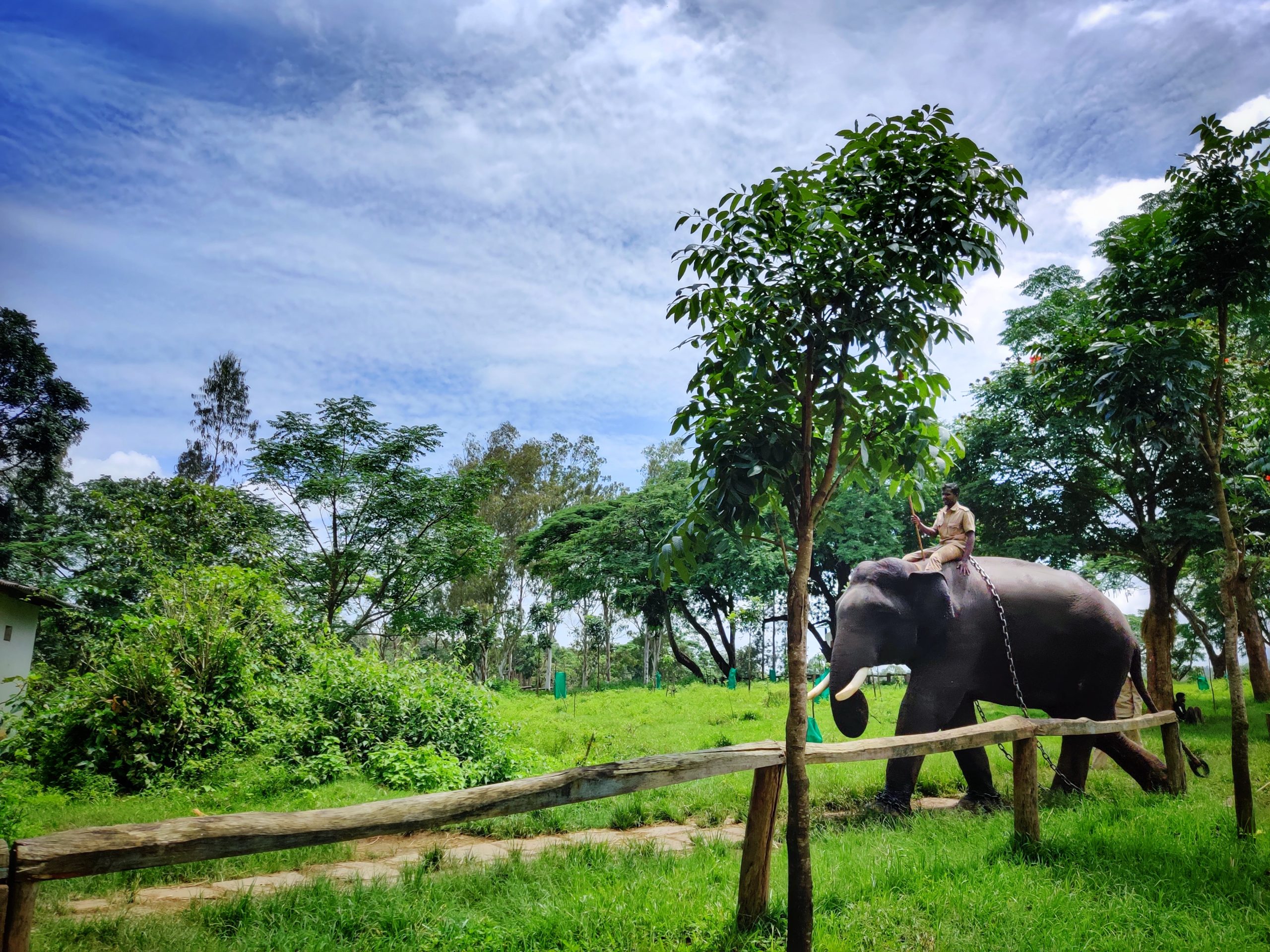 Dubare Elephant Camp is a gem for nature and wildlife enthusiasts.