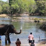 Dubare Elephant Camp