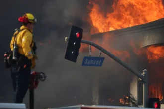 Los Angeles Wildfires Spread to Hollywood Hills: 5 Dead, Hundreds of Homes Destroyed