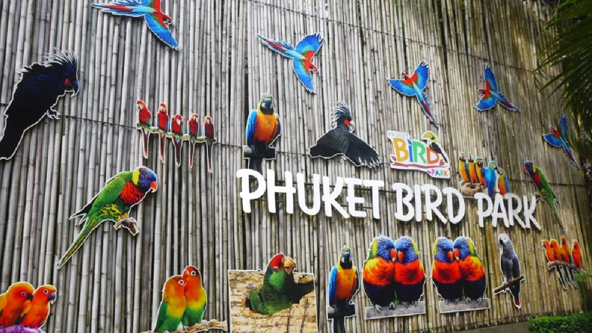 Phuket Bird Park