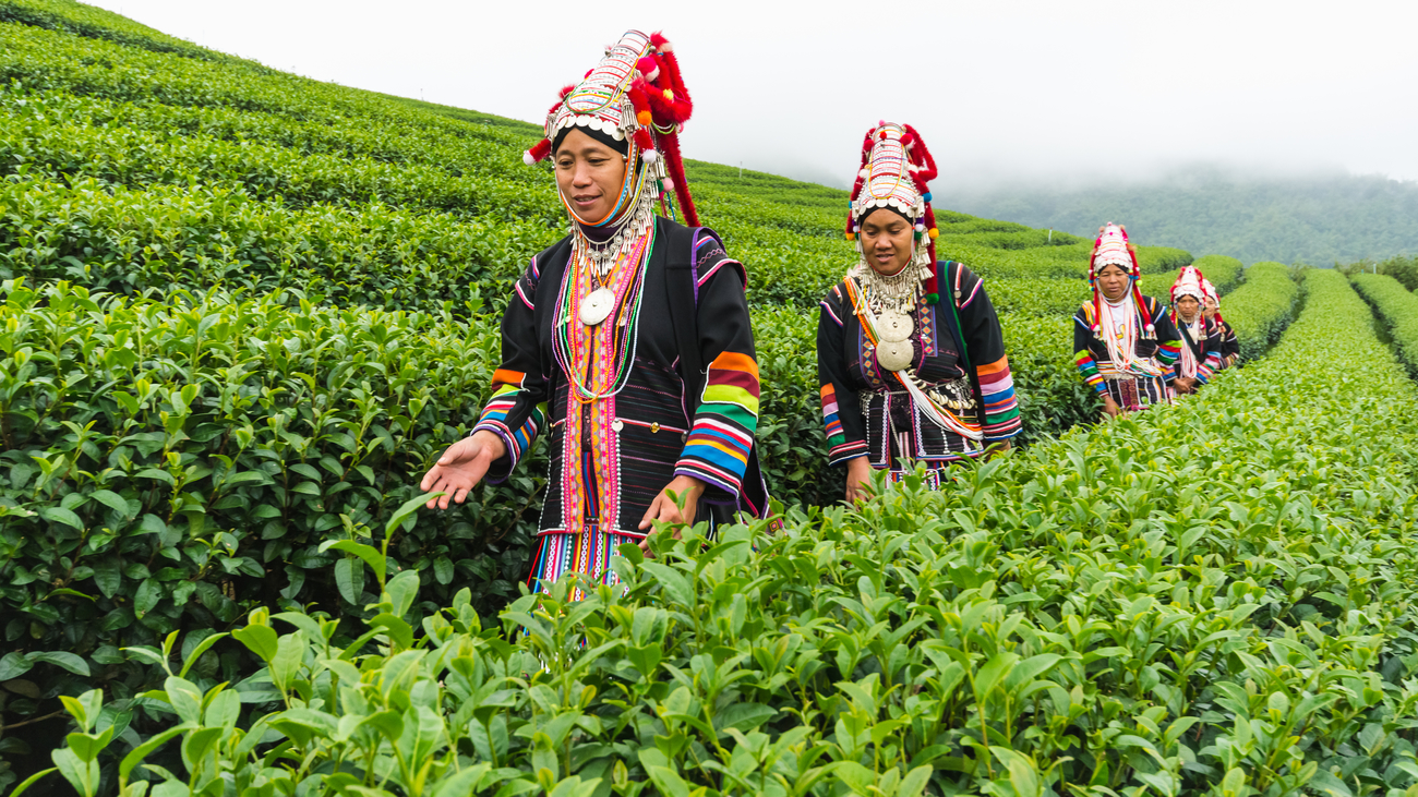 tea thai culture