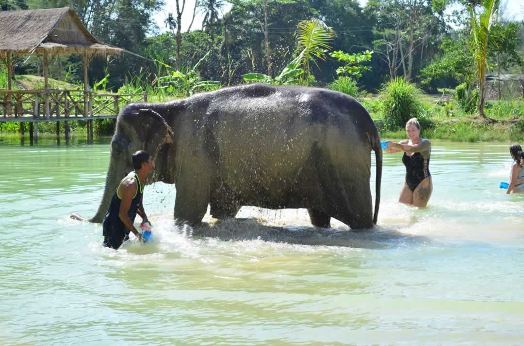  Koh Yao Elephant Care Centre 