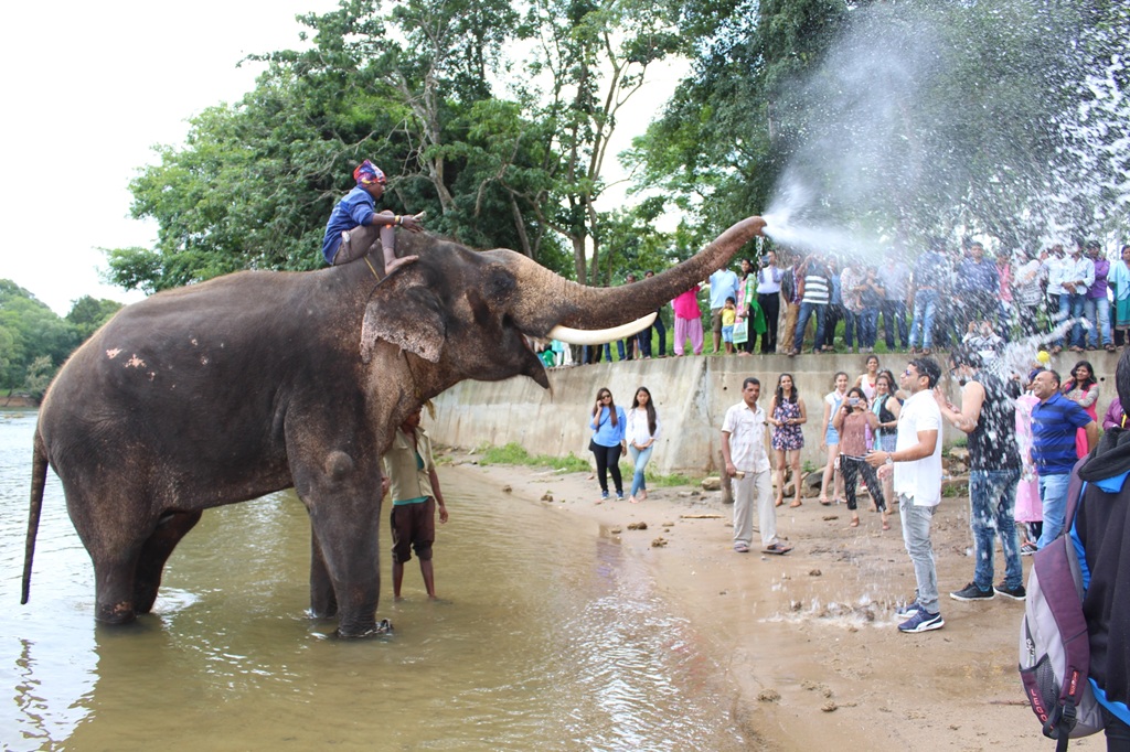 Dubare Elephant Camp is a gem for nature and wildlife enthusiasts.