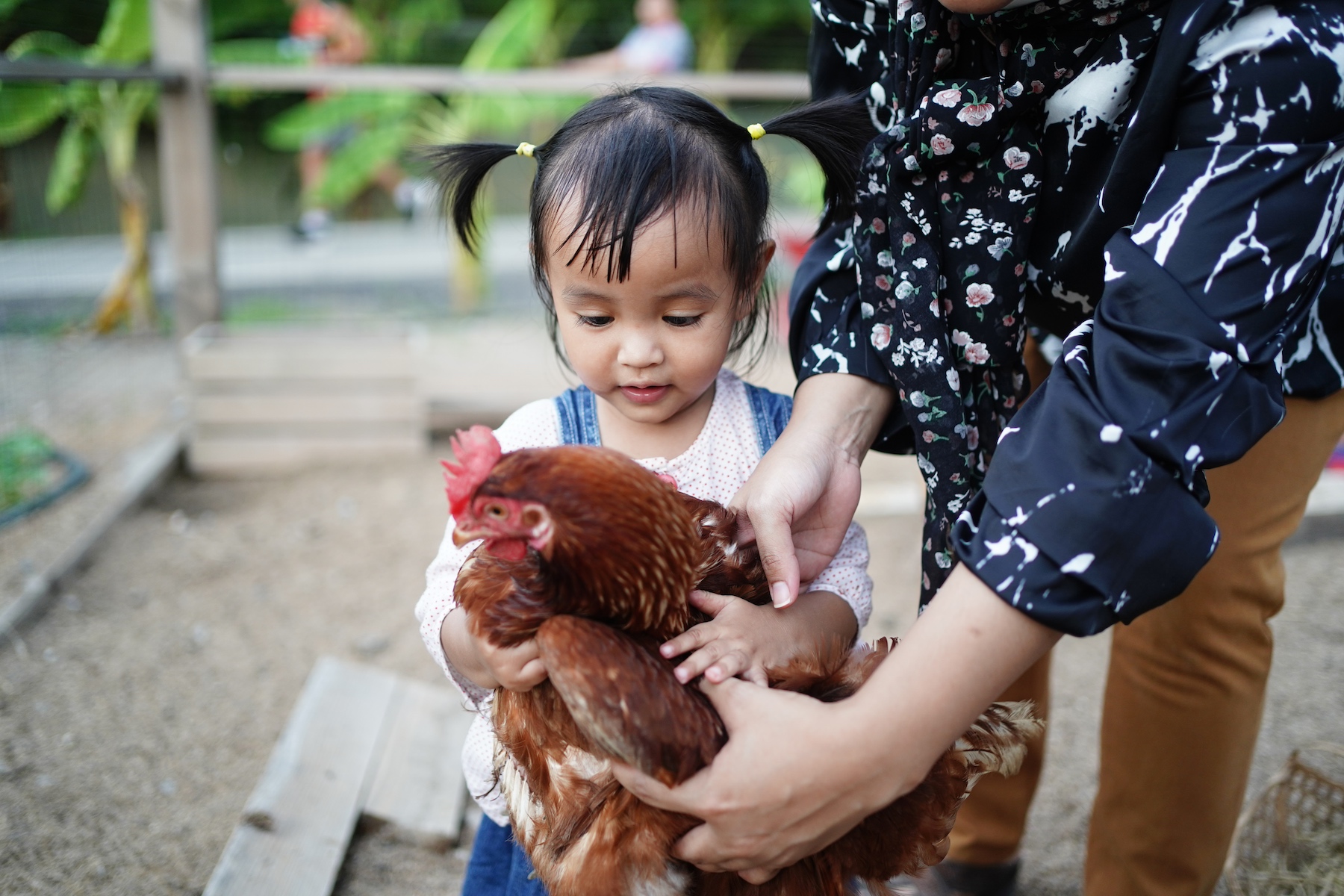 Fertility Thailand