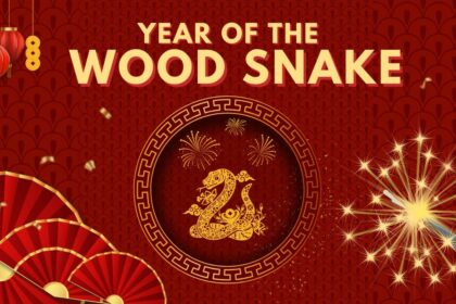 year of the wood snake