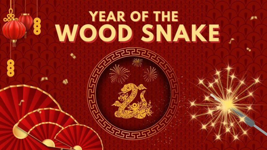 year of the wood snake