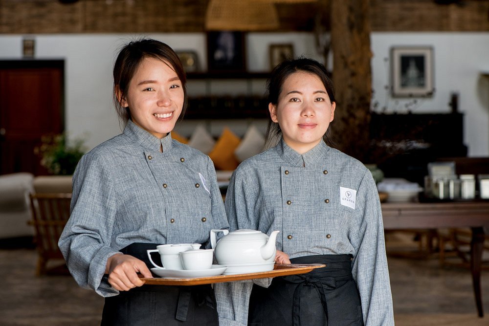 Popular Types of Tea in Chiang Rai