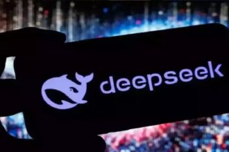 US Government DeepSeek Ban