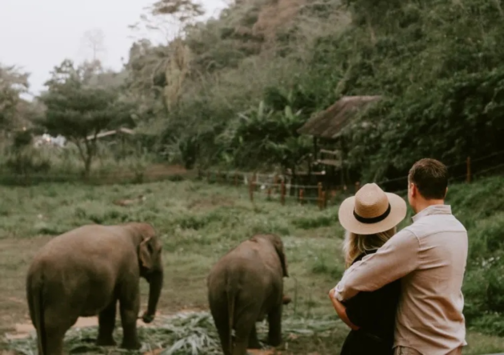 Valentine's Day Chiang Rai