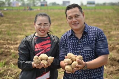 Chiang Rai Potato Farmers