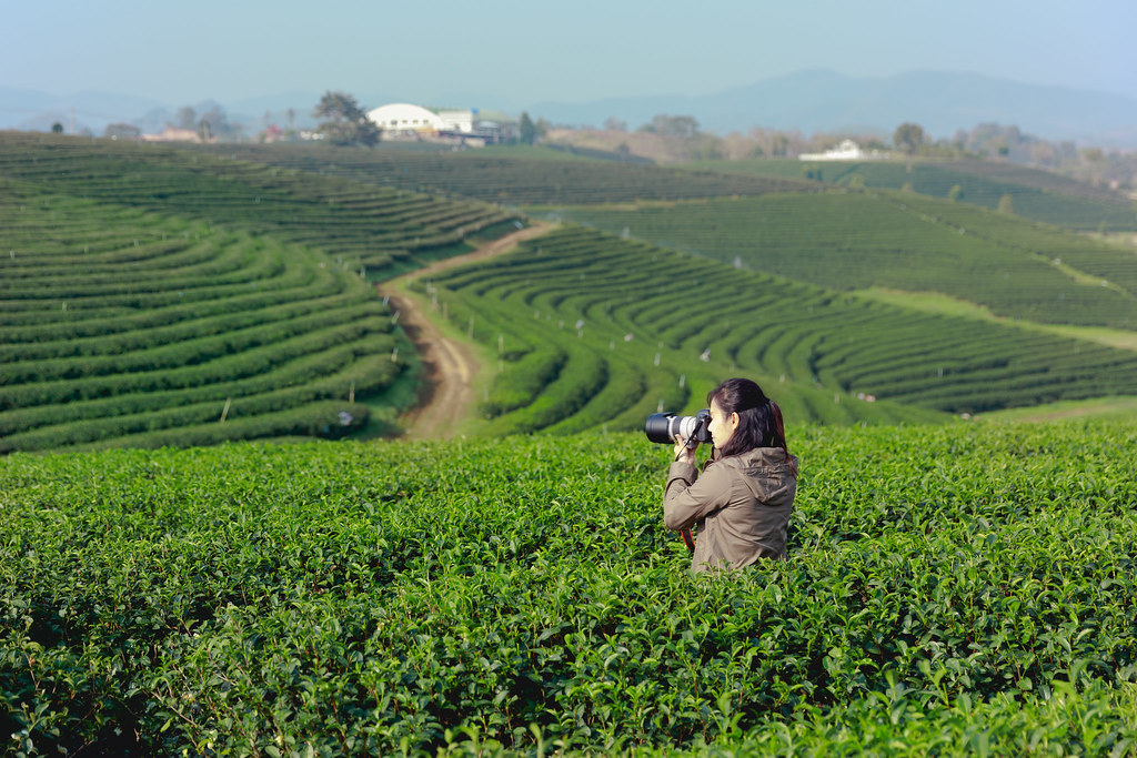 A Gateway to Northern Thailand’s Charm